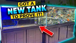 The Tap Water Saltwater Aquarium Experiment! Will It Work?