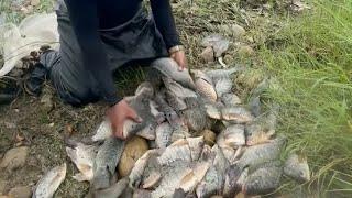 It's only trending Fishing Point  that there are a lot of tilapia in the river #fishing #netfishing