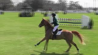 Video of MYKONOS SCF ridden by ANNIE BOLLING from ShowNet!