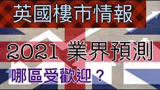 [英國地產] 地產業界對2021年英國樓市前景預測！有什因素影響屋價走勢? #經濟 #房地產