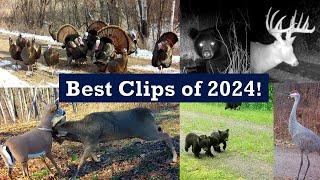 The Best Trail Cam Videos of 2024!