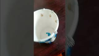 MY PAPER CUP DESIGN HOW IS IT. / ARTS AND CRAFTS MANVITHA.