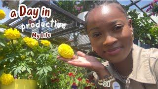 A DAY IN MY LIFE! | 4th OF JULY! NEW HERBS  & VEGGIE SEEDS