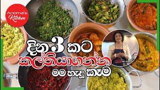 දින 3 කට කල් තියාගන්න මා හැදූ කෑම - Episode 997 - Meal Prep for 3 days