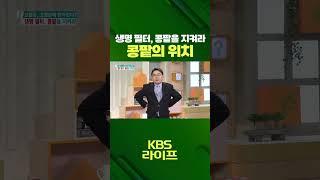 생명 필터, 콩팥을 지켜라 과연 콩팥의 위치는? [무엇이든 물어보세요] | KBS 방송