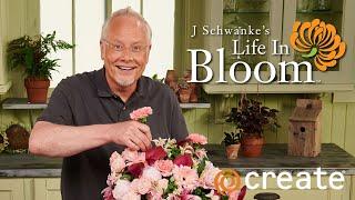 J Schwanke's Life in Bloom season 4 | preview