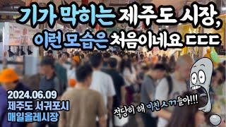 정말 미친놈들인가?심각한 제주도 상황...제주도 여름 수산물 총정리&추천 in올레시장(제주ep.2)