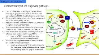 The GARP Complex Mediates Cholesterol Transport via Targeting NPC2 to Lysosomes