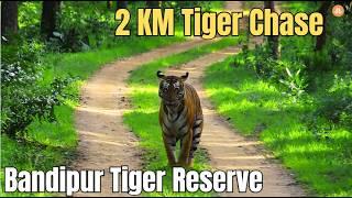 Forest Safari in BANDIPUR TIGER RESERVE | English version of JLR Safari | Jeep Safari | Tiger Chase