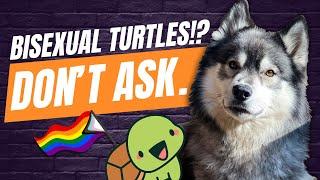 Emotionally Manipulating Siberian Huskies for Profit | Top 5 Comments of the Week