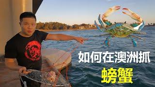 【澳洲】如何在西澳大利亚珀斯抓螃蟹？如何烹饪香辣大螃蟹？How to catch crabs in Perth, Western Australia