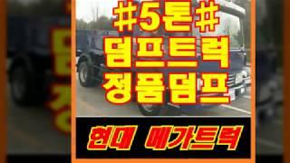 2011년 5톤덤프트럭전문 오리지널 정품덤프 중고가격및 제원소개