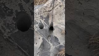 Treasure hunt | Treasure sign | Yamashita treasure hunting | curving on rock