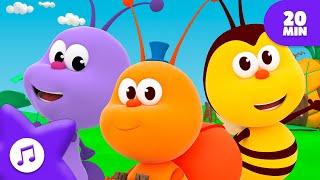 Discover, Learn, and Play  20 Min ⏰MIX  FOR KIDS | Boogie Bugs