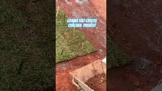 Hoje foi dia de plantar a grama São Carlos no talude da chácara . #obra #plantas #agro roça