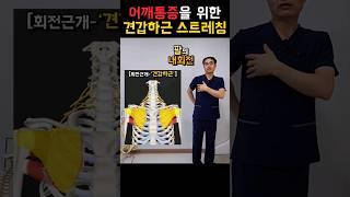 어깨 통증을 위한 '견갑하근 스트레칭'(feat. 회전근개 스트레칭 2)