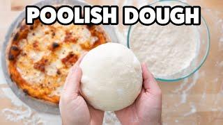 Better Pizza using Poolish Dough Recipe