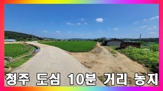 청주 토지 매매 / 1145평! 평당 25만원 농림지역 농지 매매 / 청주시 내수읍 위치 좋은 농경지 #청주토지매매 #청주농지매매 #청주부동산