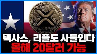 美 텍사스, BTC 준비금 활용 알트코인도 비축…리플(XRP) 올해 20달러 가능