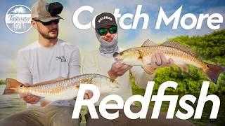 Cut Bait for Redfish: The Ultimate Guide