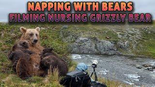 Amazing Afternoon Photographing/Filming Nursing Grizzly/Brown Bears in Alaska