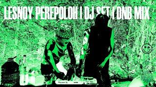 LESNOY PEREPOLOH | DJ SET [D'n'B MIX] #set #dnb #music #forest