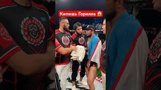 Кипишь на бою #бокс #мма #kazmma #бой #mma #ufc #бои #sports #юфс #rek