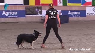 Qualification - Christine Hahn + Wings Of Hope Eternal Hero/Border Collie - Germany