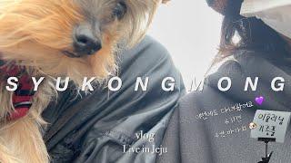 오랜만에 다녀온 유기견 후원 바자회 주근깨 털고 집콕 하는 제주 브이로그 | 일상 vlog | 프릳츠 팝업 | 신혼 집밥 | 로즈마리 키우기 | 구름언덕 바자회 | 노견일기