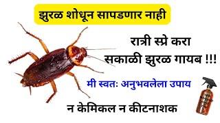 एकाच रात्रीत 100% झुरळ जाणार म्हणजे जाणार/Cockroaches ko Kaise Bhagaye/How to Get Rid of Cockroach