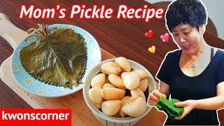 Korean Pickles With Kwon's Mom (Jangajji Recipe 장아찌 만들기)