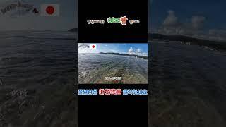 [일본 여행 ](ep. ) 첫 일본 여행 ~ 미야자키 아오시마 (도깨비빨래판) #travel #배낭여행
