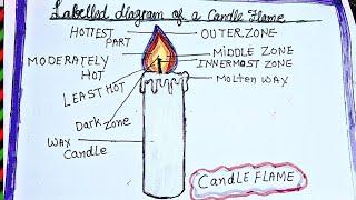 How to draw and label Candle flame diagram l Candle Flame diagram drawing | flame zones