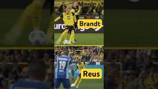 Brandt & Reus: That looks familiar