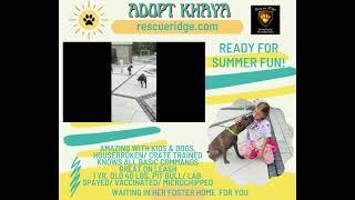 KHAYA VIDEO FLYER RESCUE RIDGE JULY 16 2022 2