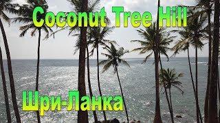 Coconut Tree Hill Шри-Ланка