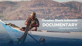 Thresher Shark Indonesia: Documentary