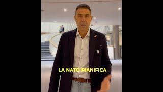 VANNACCI: "QUESTA SAREBBE LA DIFESA EUROPEA?"