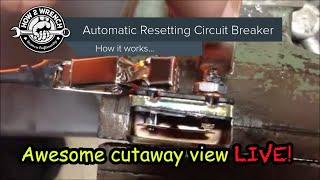 How auto resetting circuit breakers works LIVE cutaway showing inside breaking and resetting! #viral