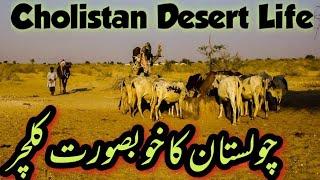 Cholistan Deset Life||Rohi Cholistan||Village Life in Pakistan||Shaukat Jam Vlogs