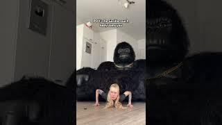 It went full WWE mode on me #funny #gorilla