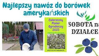 Najlepszy nawóz do borówek amerykańskich.