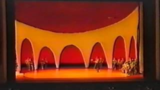 Alex Lapshin Video (Don Quixote from Vienna State Opera Ballet 1992)