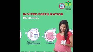 IVF (In vitro fertilization) at IVY Hospital