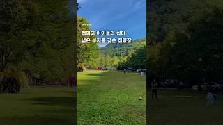 넓은 잔디 광장과 우거진 나무들이 매력적인  강원 원주 '치악신림오토캠핑장' #camping #캠핑장추천 #쇼츠 #shorts