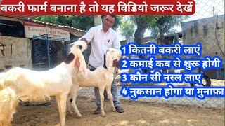 बकरी पालन कैसे शुरू करें। How to Start Goat farming in India ।Bakri palan ki jankari