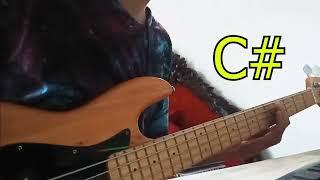 Hosanna - Hillsong Worship [Bass Cover + Chords]