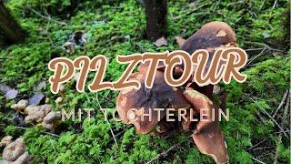  ERSTFUND  PILZTOUR MIT TÖCHTERLEIN  #pilzesammeln #pilze #wald #bayern