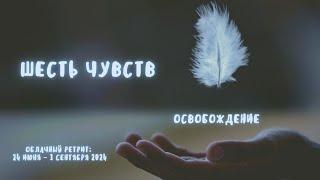 01. Шесть чувств–облачный ретрит. Обоняние. 24.06.2024