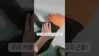 예상하지 못했던 문제가 생겻어요..‍️댓글확인